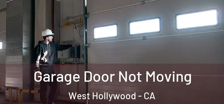  Garage Door Not Moving West Hollywood - CA