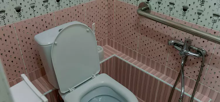 Meeting Diverse Needs With Accessible Restroom Solutions in West Hollywood, CA